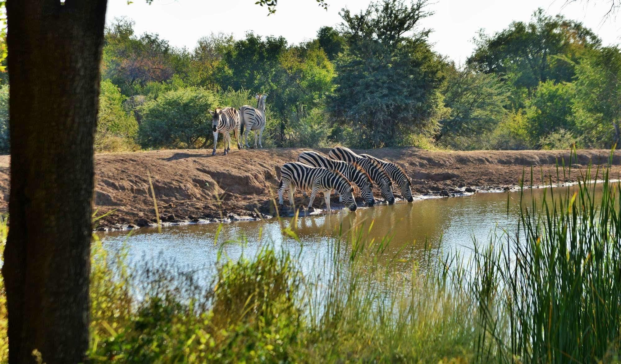 Black Rhino Game Lodge Ruighoek Mine Exterior foto